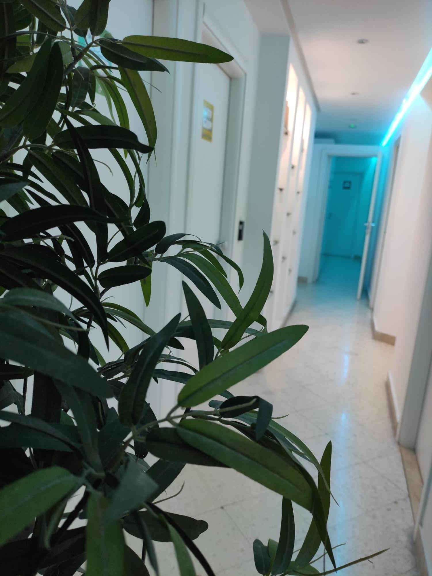 Palermo Central B&B Eksteriør bilde